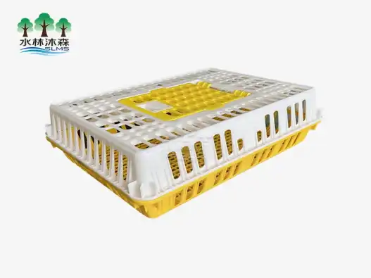 What is the Best Cage Material for Poultry Farming Efficiency? A Guide for Chicken Farms
